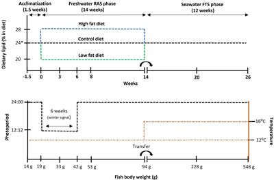 Smoltification, seawater performance, and maturation in Atlantic salmon (Salmo salar) fed different fat levels